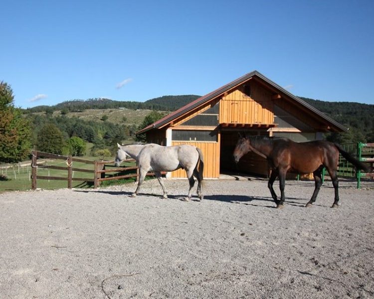posestvo-rudolf-7